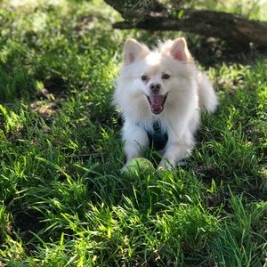 Meet your Posher, Beck